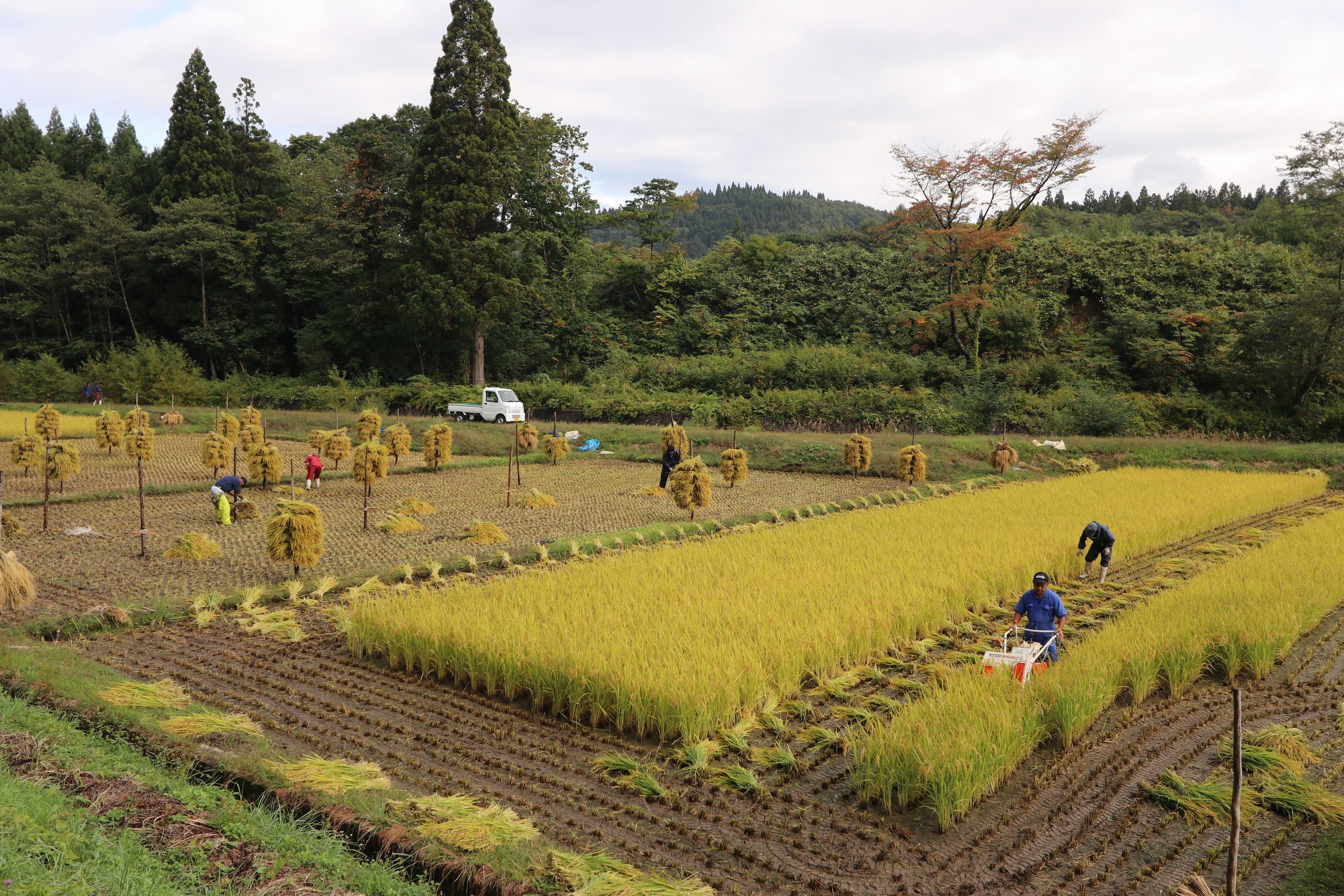 最優秀賞 家族で作業(今別町)/ 伊東 敏子(つがる市)