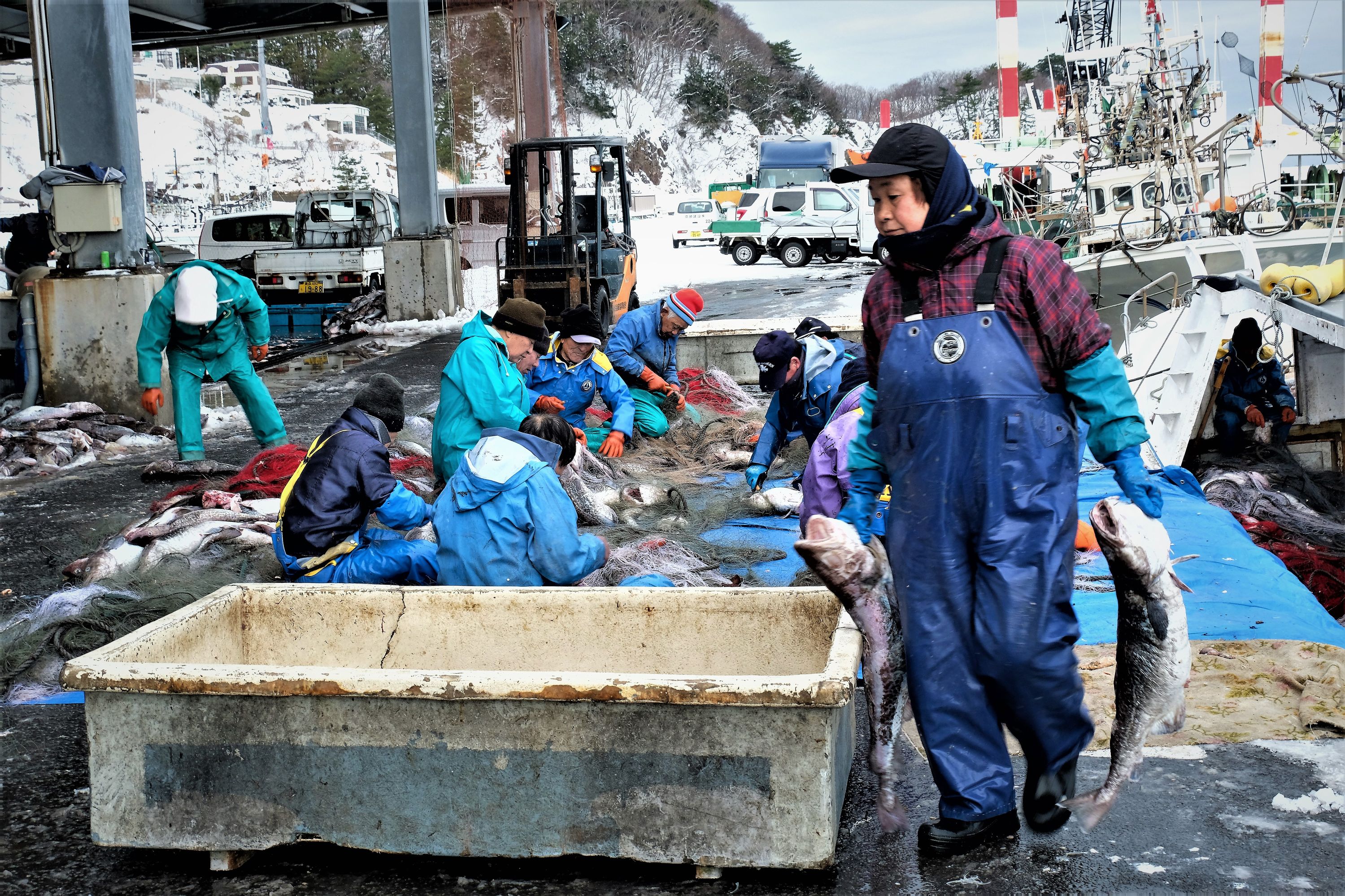 優良賞 真鱈の季節(中泊町)/ 竹内 恭一(中泊町)