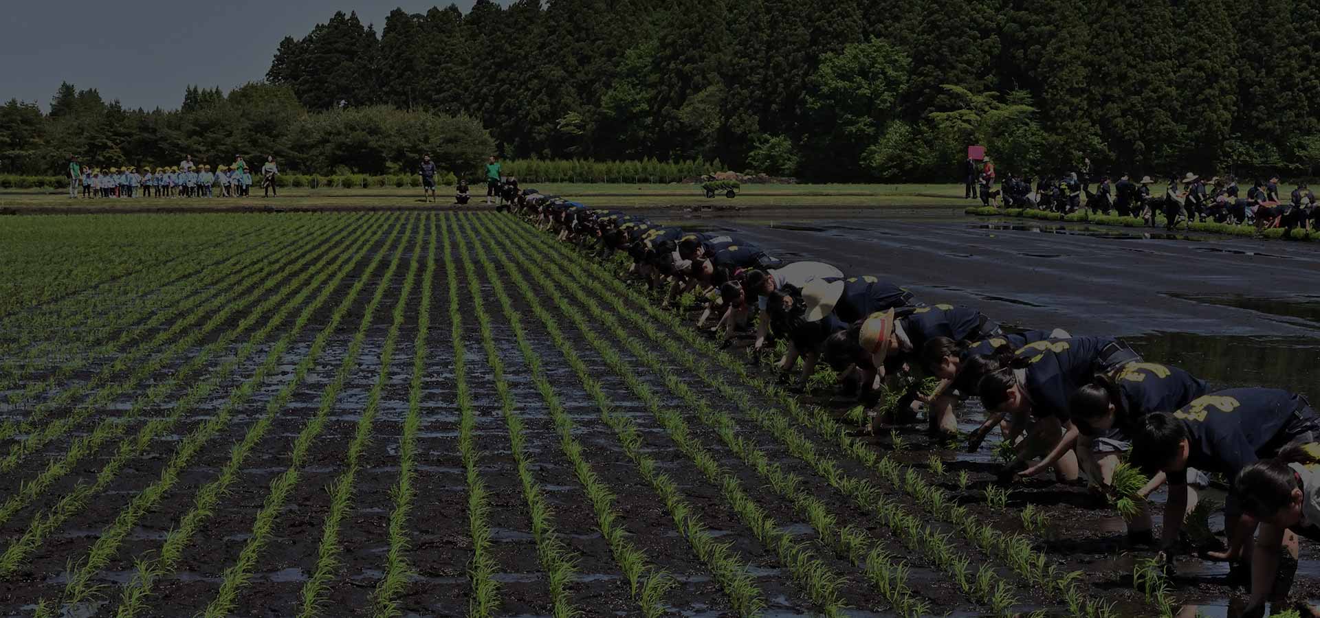 水土里ネットとは