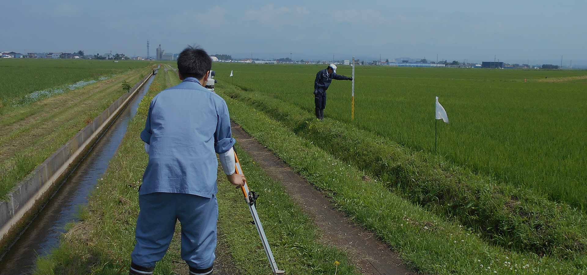 主な業務内容